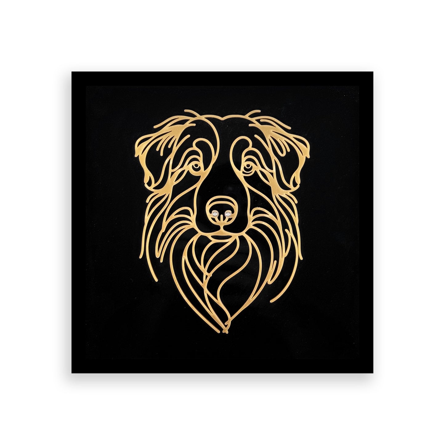 Australian Shepherd | Acrylic Wall Art Poster