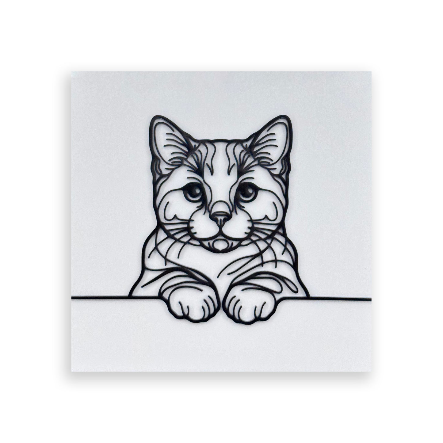 Chartreux | Acrylic Wall Art Poster