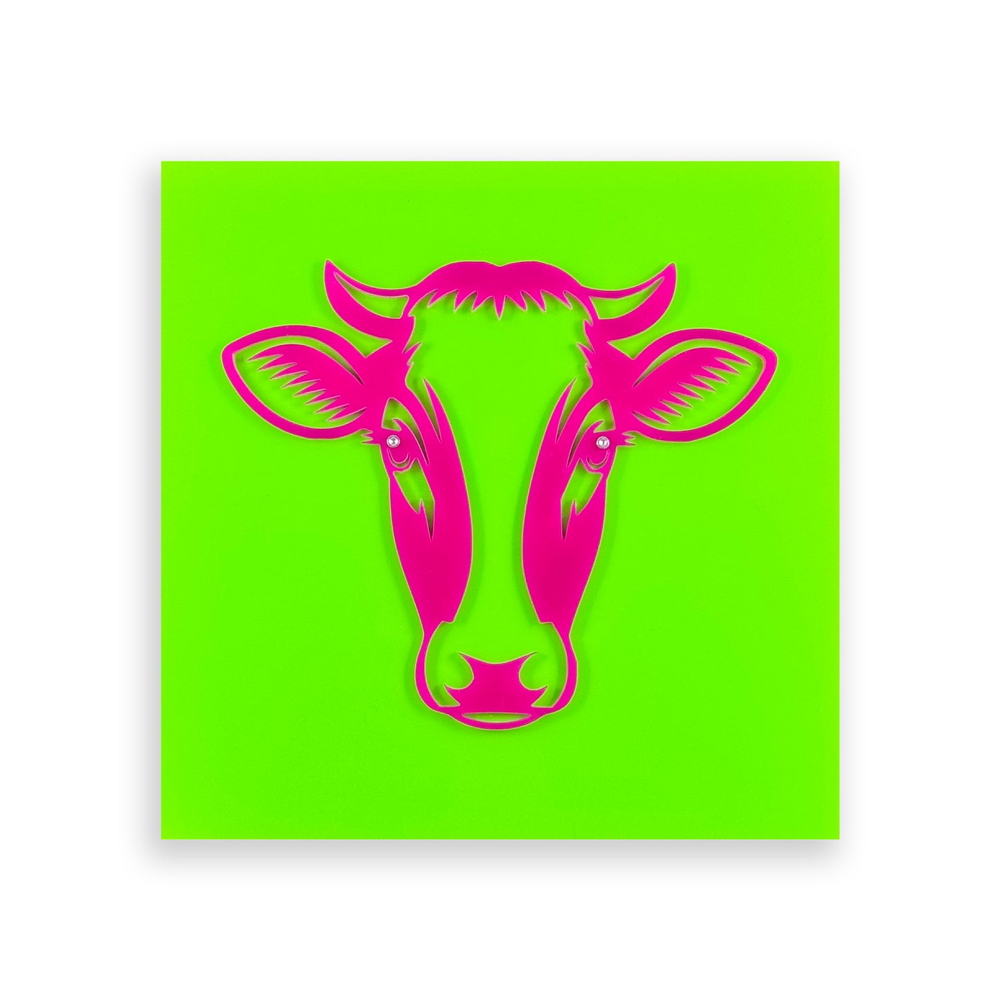 Cow | Acrylic Wall Art Poster