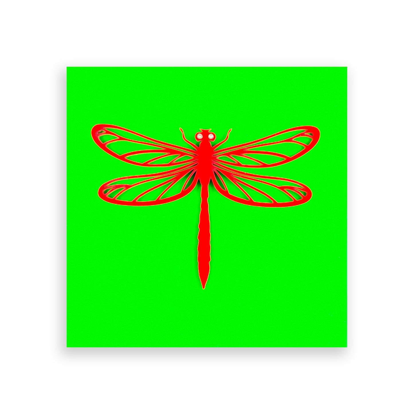 Dragonfly | Acrylic Wall Art Poster