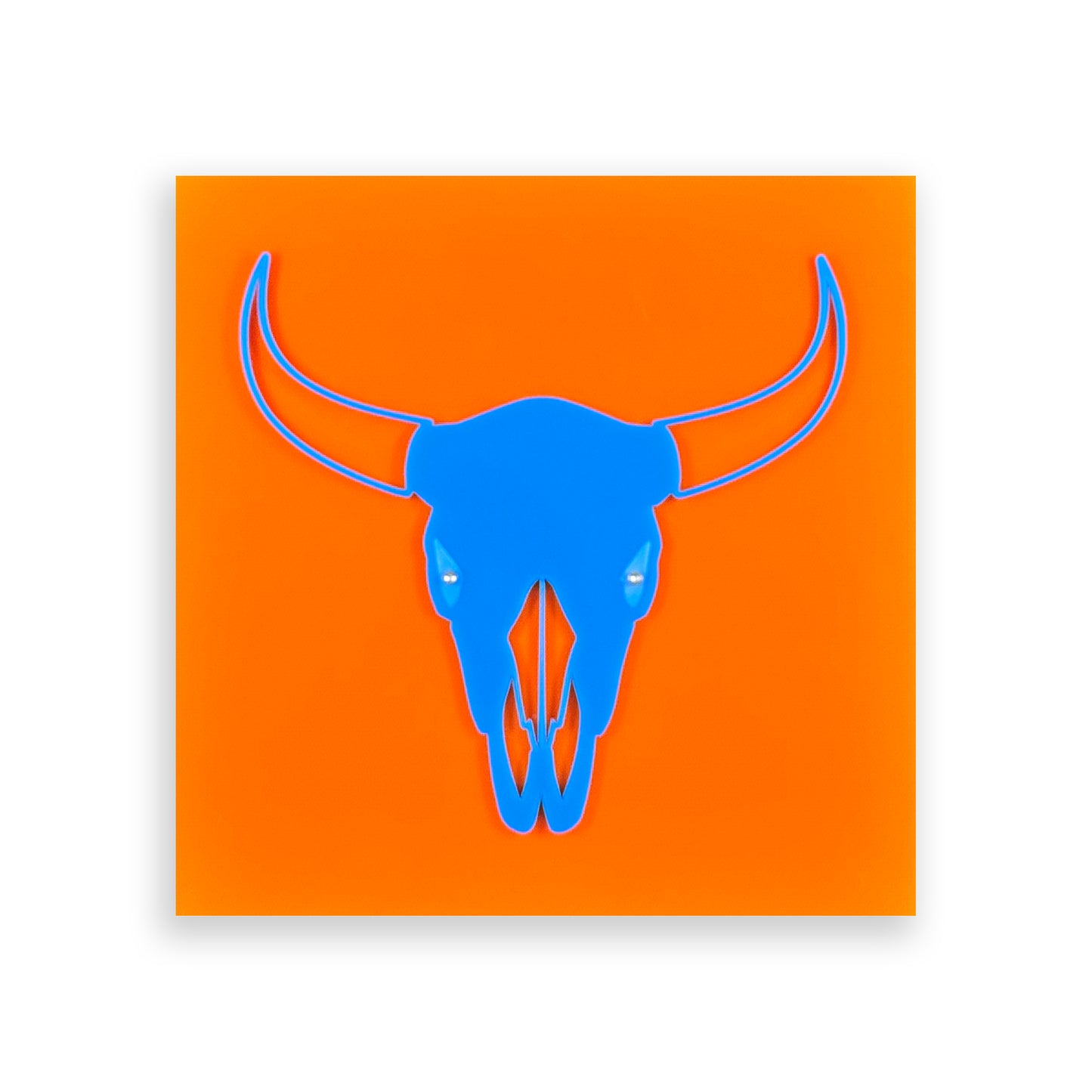 Kudu Skull | Acrylic Wall Art Poster
