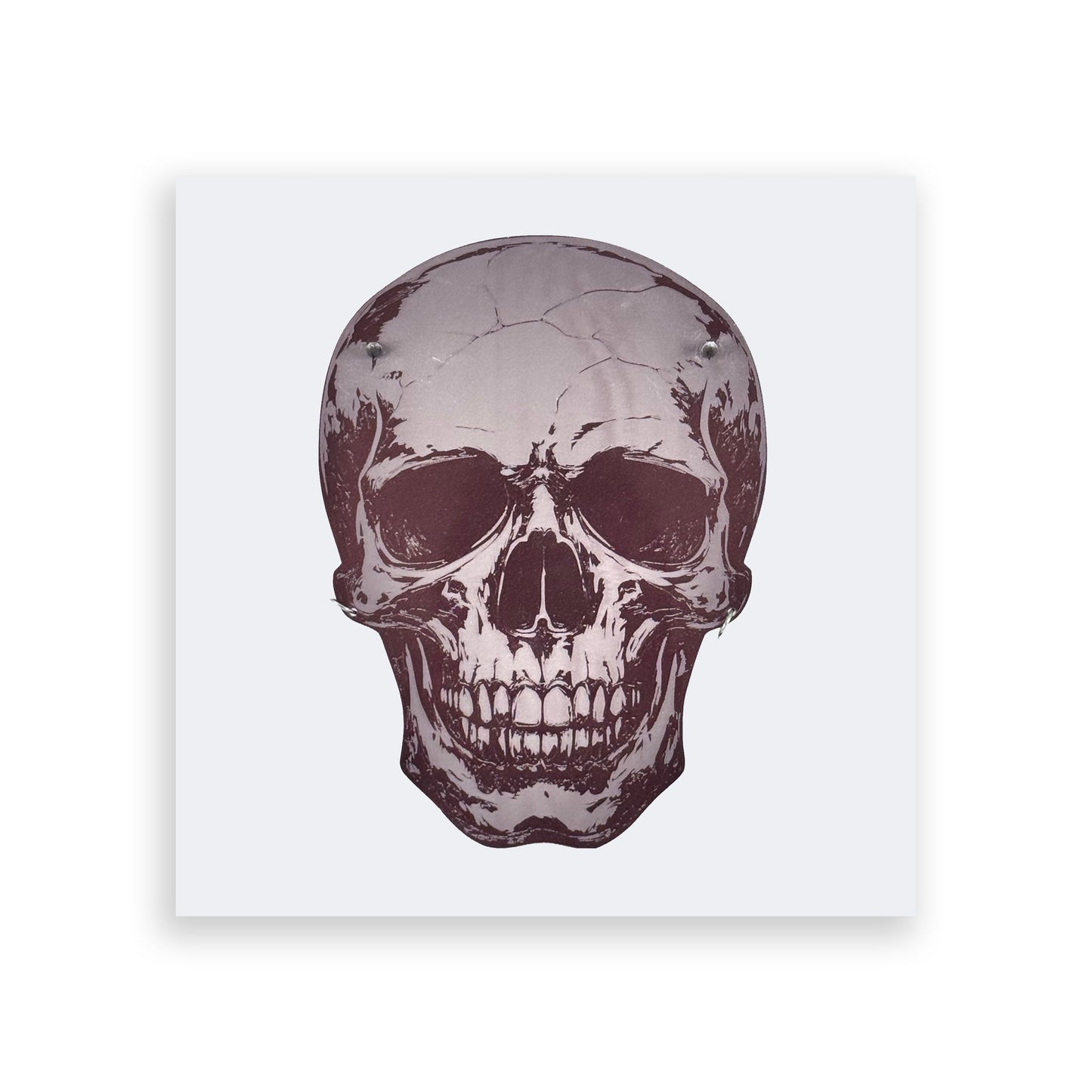 Skull | Acrylic Wall Art Poster