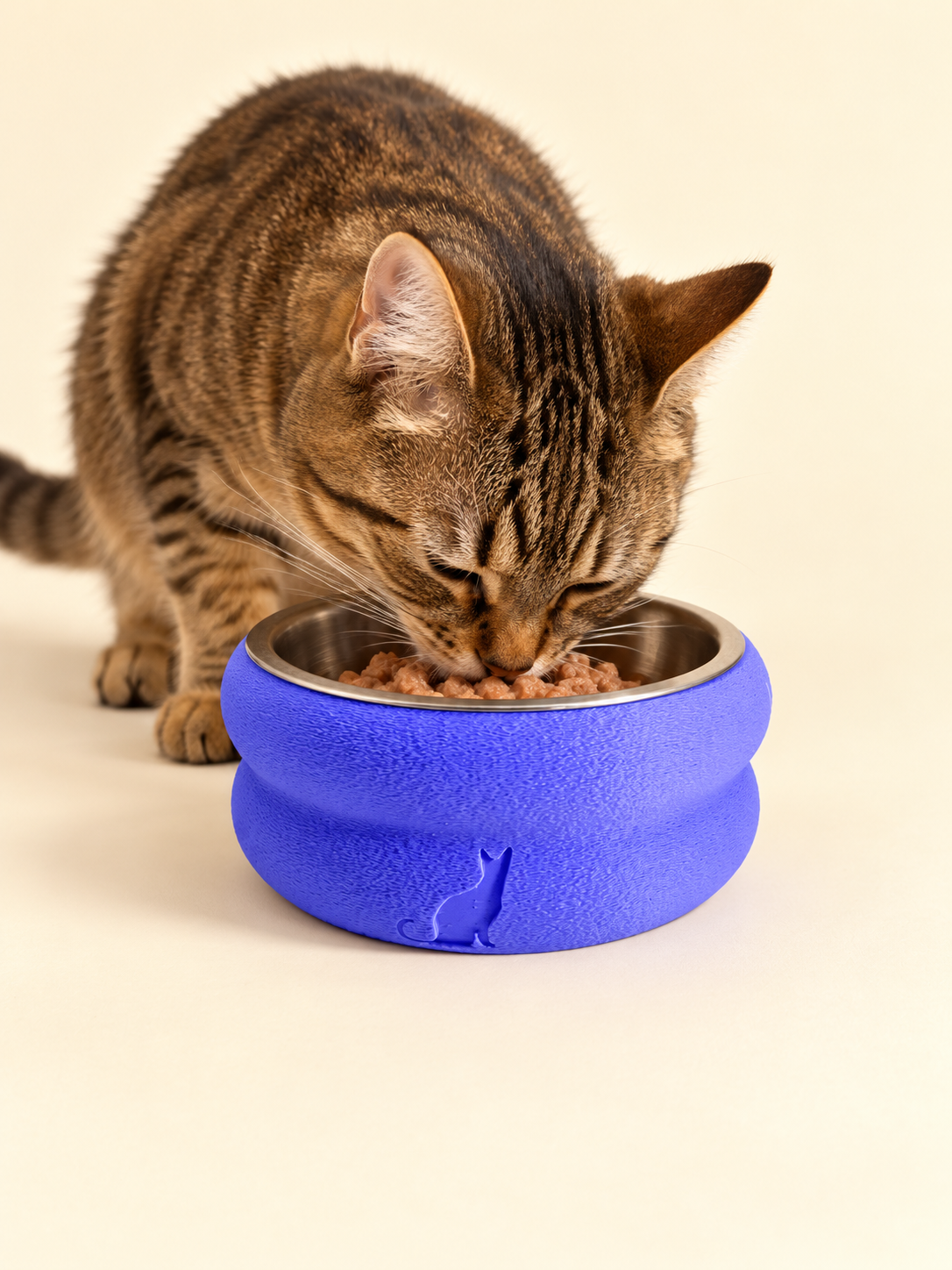 Miss Kitty 01 — Cat Silhouette & Paws