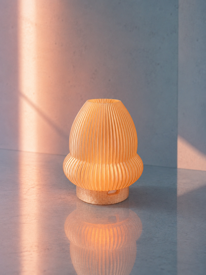 Mini ACORN