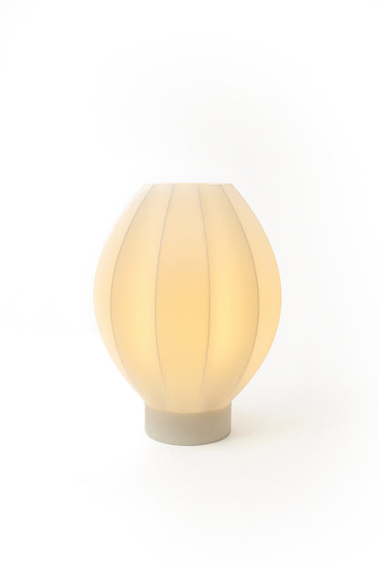 Nova: Twisted Helix 3D Printed Lamp