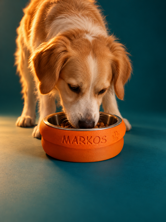 Mr. Woof 02 — Paws & Bones
