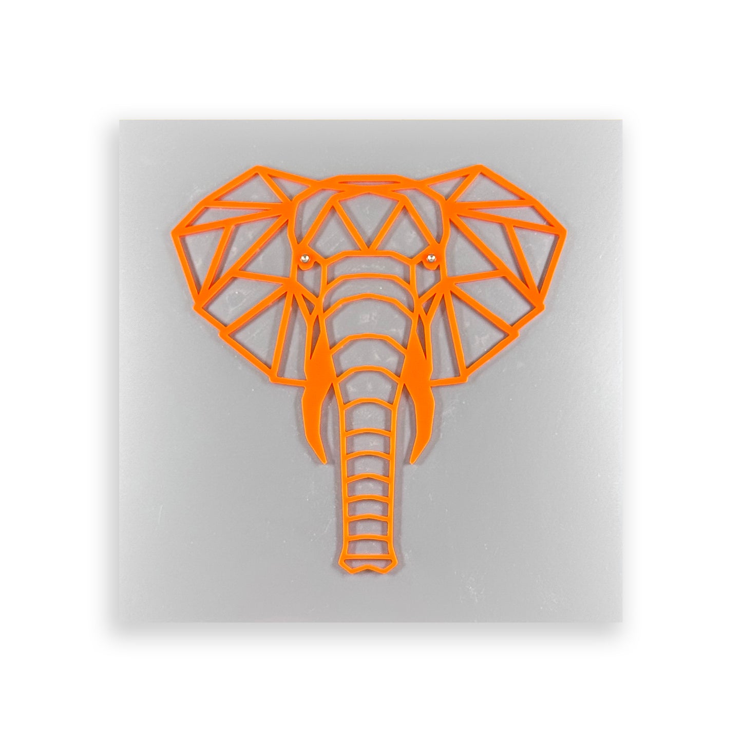 Elephant | Acrylic Wall Art Poster
