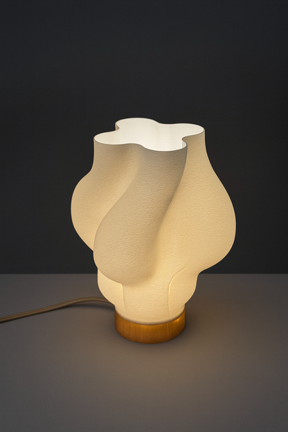 Aurora Lamp