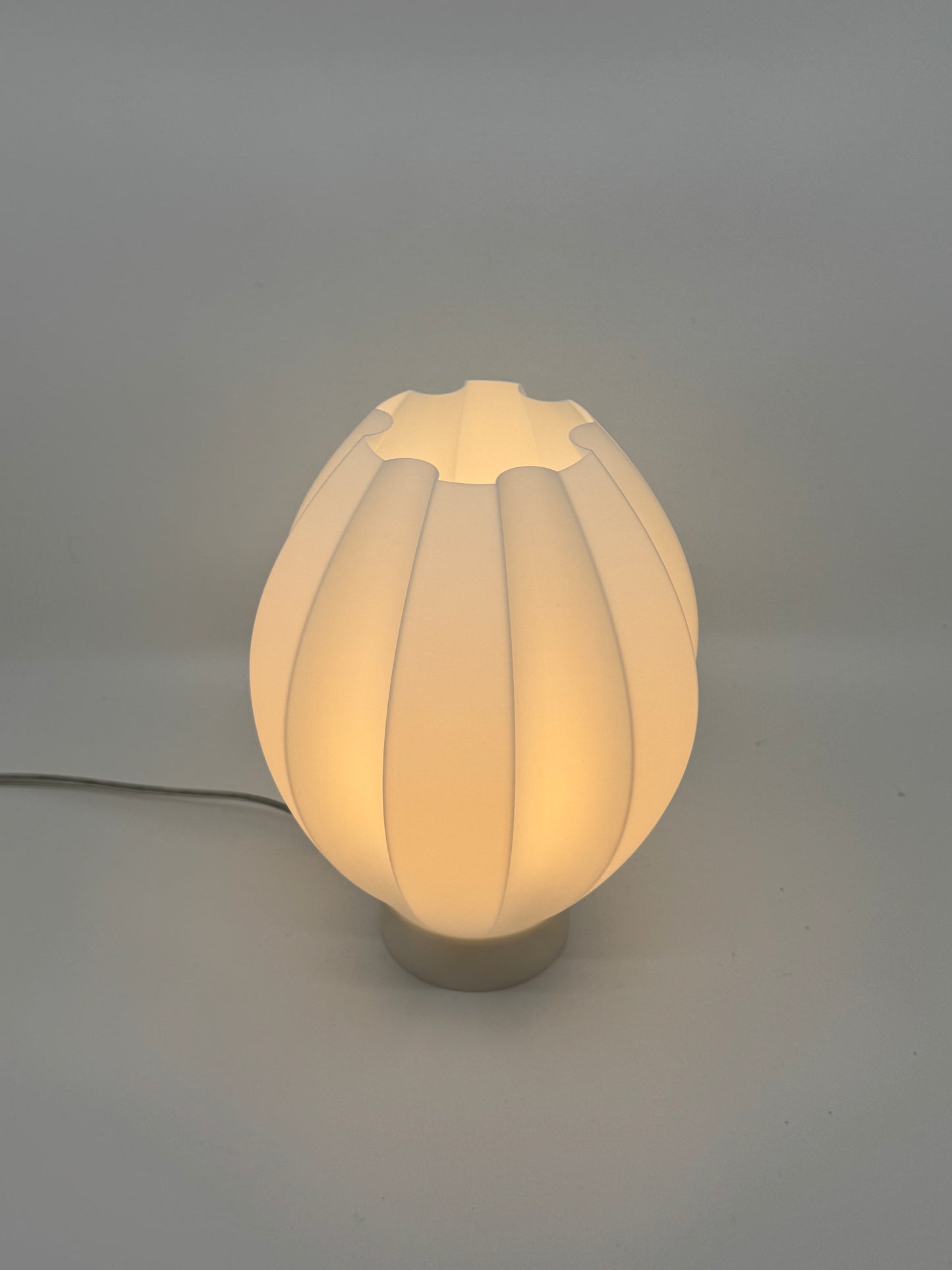Nova: Twisted Helix 3D Printed Lamp