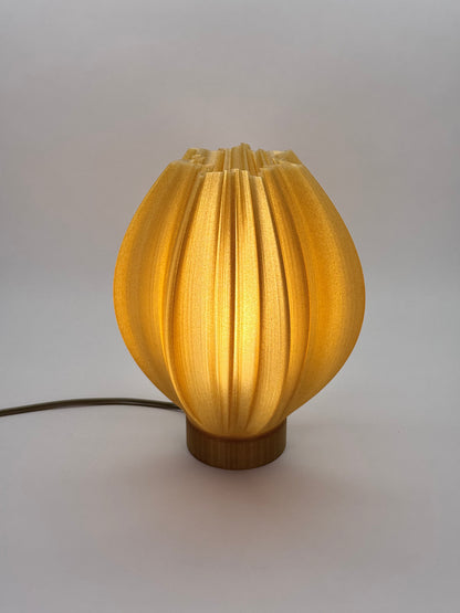 Helios: A Lamp of Living Light