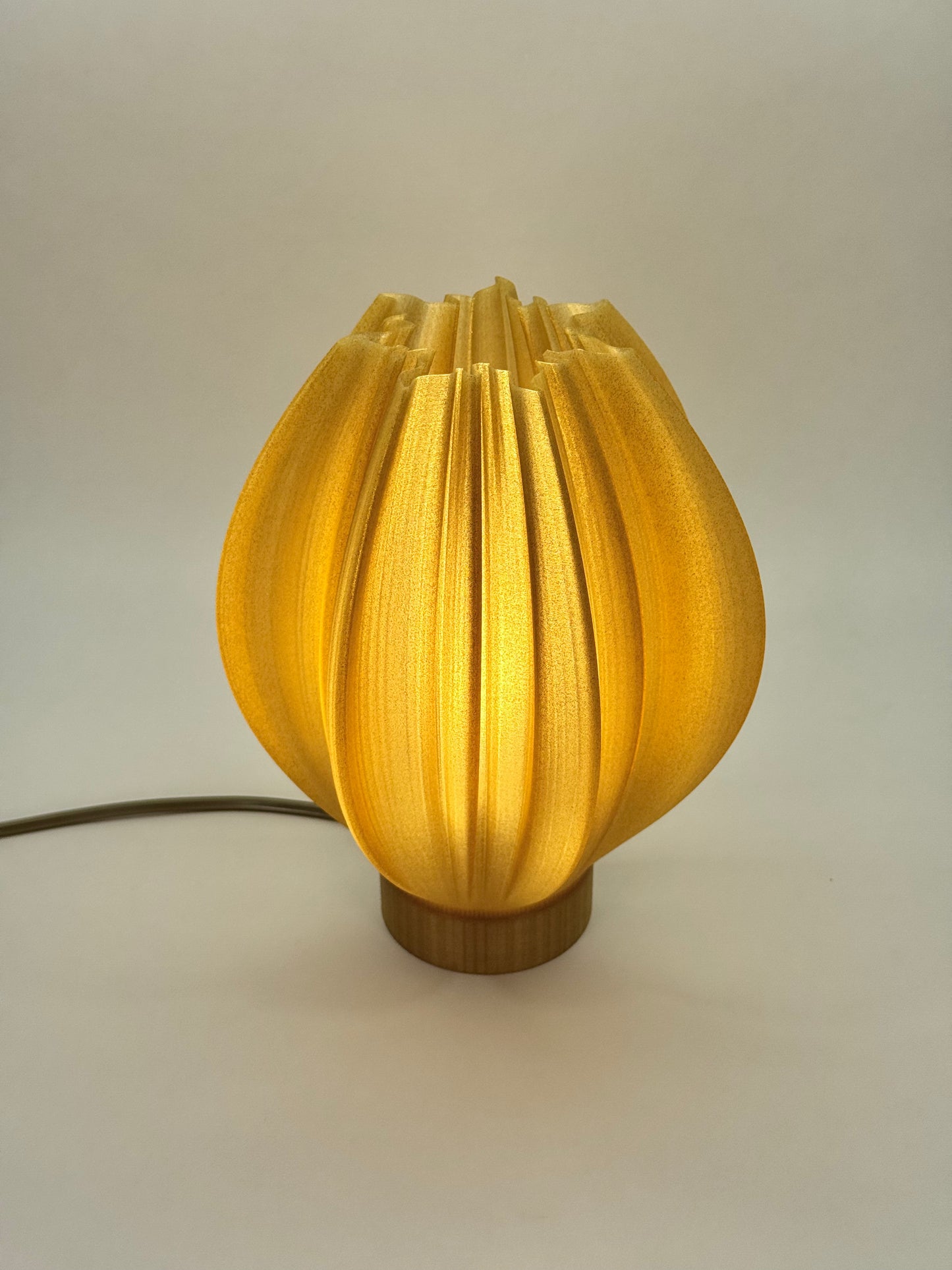 Helios: A Lamp of Living Light