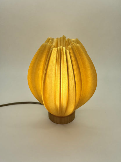 Helios: A Lamp of Living Light