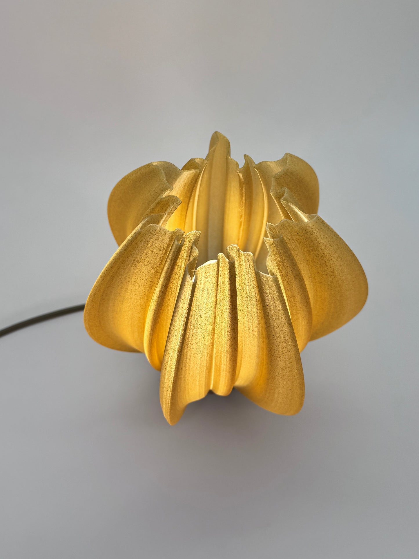 Helios: A Lamp of Living Light