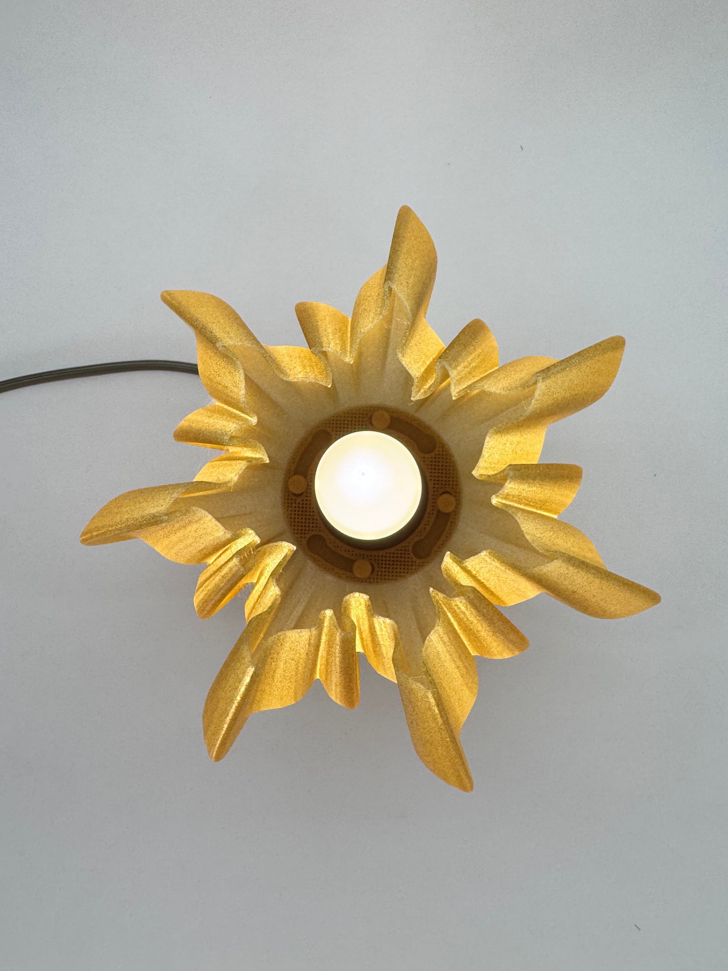 Helios: A Lamp of Living Light
