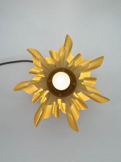 Helios: A Lamp of Living Light