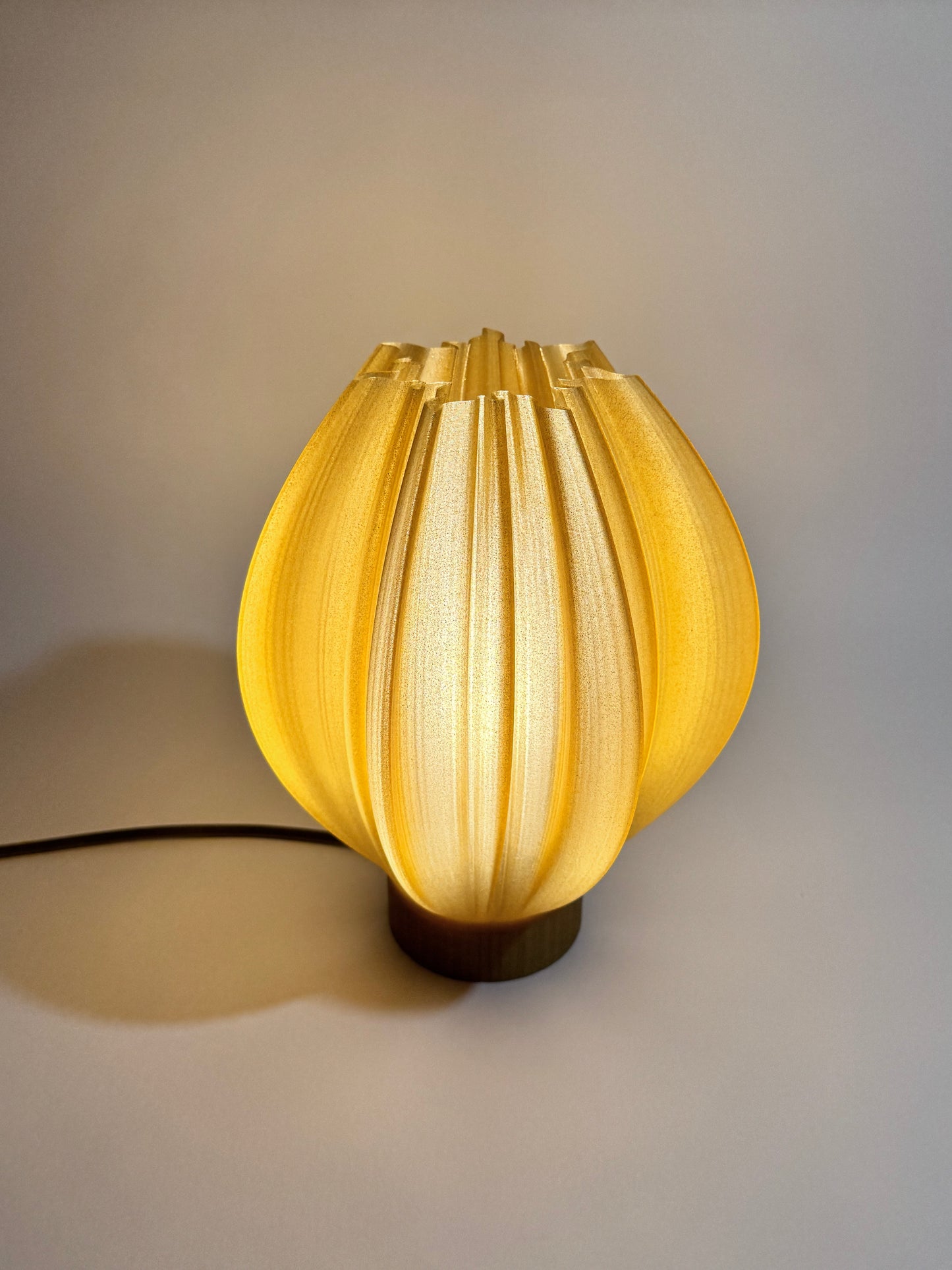 Helios: A Lamp of Living Light